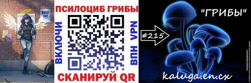 Купить закладки Сунжа Псилоцибиновые грибы GOLDEN TEACHER